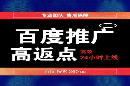 案例分析：百度推广成功案例解析
